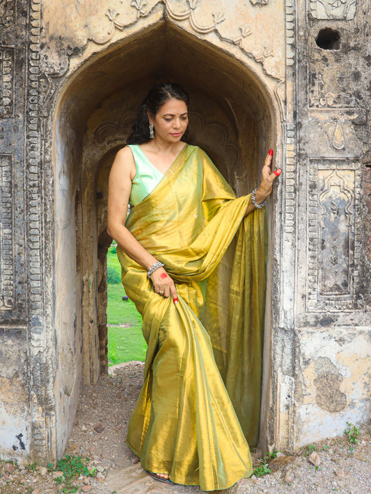 Taapsee  - Golden Zari Saree